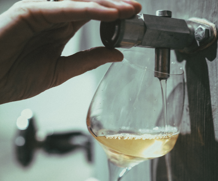 Production vin blanc chez Coralie et Damien Delecheneau
